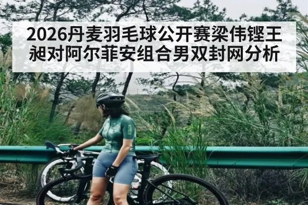 2026丹麦羽毛球公开赛梁伟铿王昶对阿尔菲安组合男双封网分析